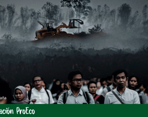 Pérdida de naturaleza y pandemias: un informe de WWF.