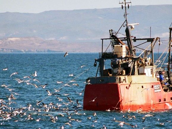 Nuestros deberes con el mar y su inmensa riqueza.